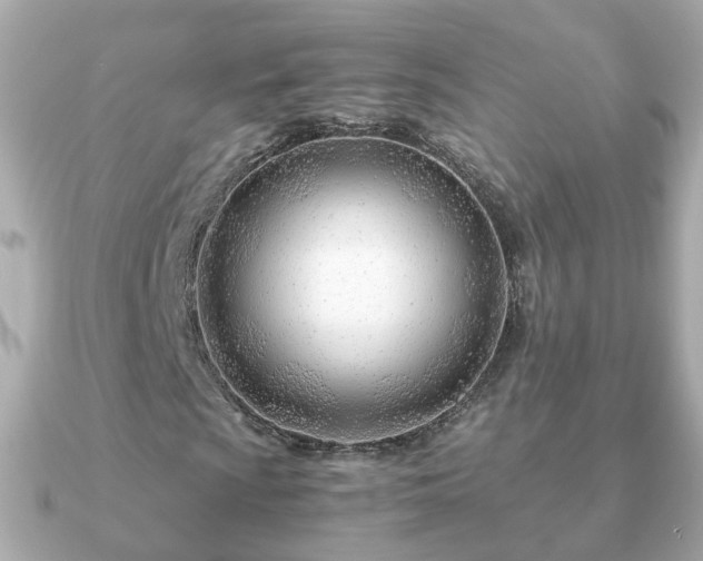 X0000090961009200708091350