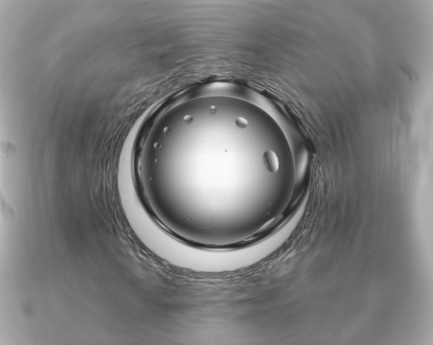 X0000090961010200708091350