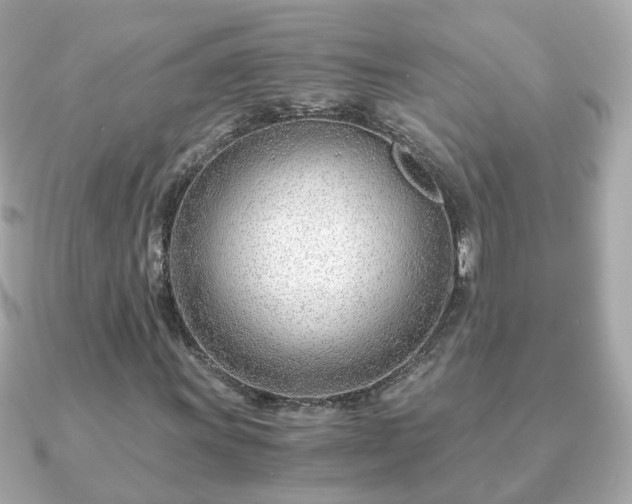 X0000090961011200708091350