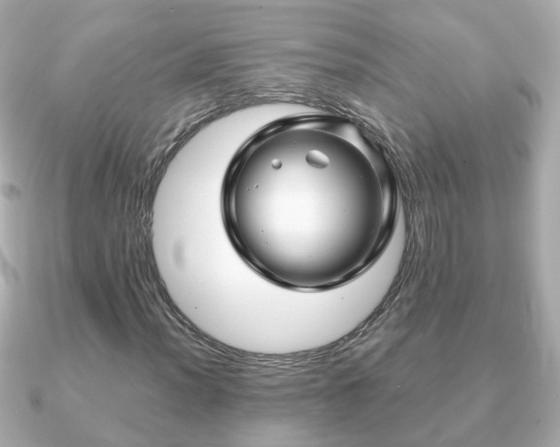 X0000090961012200708091350
