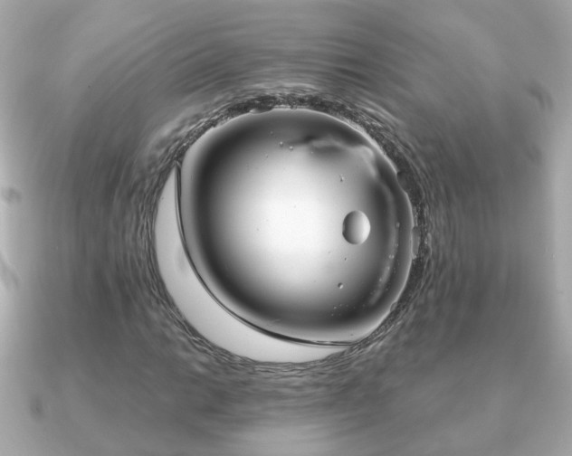 X0000090961014200708091351