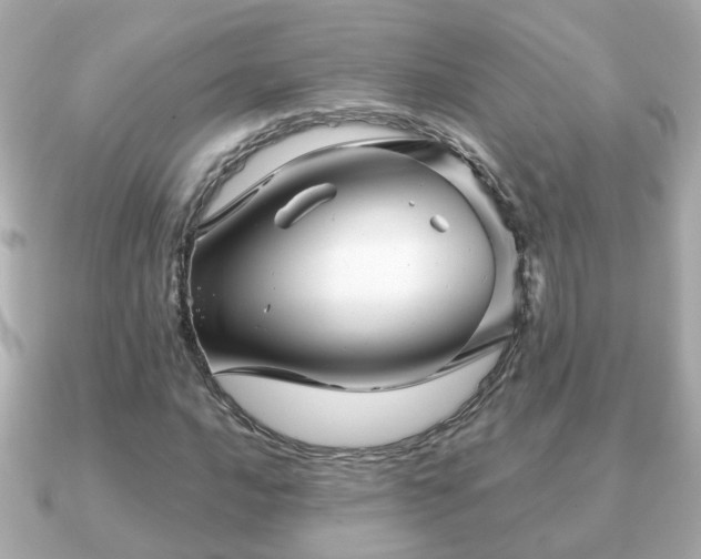 X0000090961016200708091351