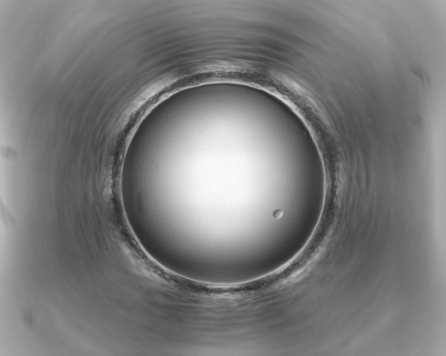 X0000090961017200708091351