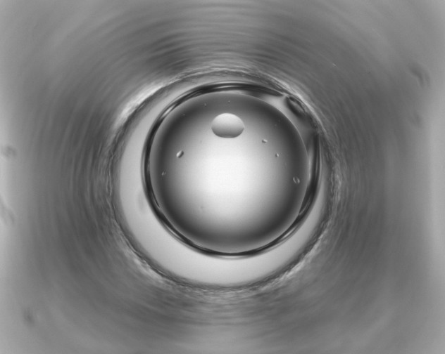 X0000090961018200708091351
