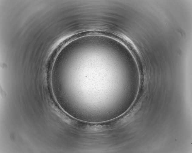 X0000090961019200708091351