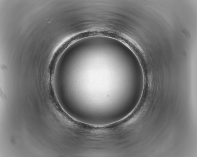X0000090961021200708091351