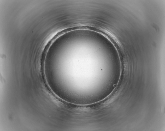 X0000090961023200708091351