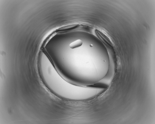 X0000090961024200708091351