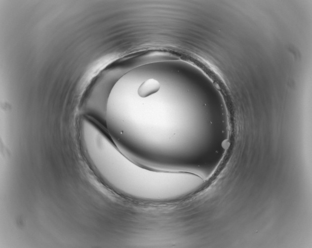 X0000090961026200708091351