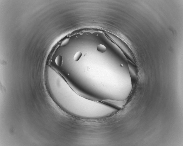 X0000090961028200708091351