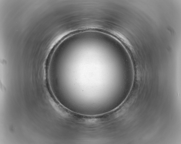X0000090961031200708091351