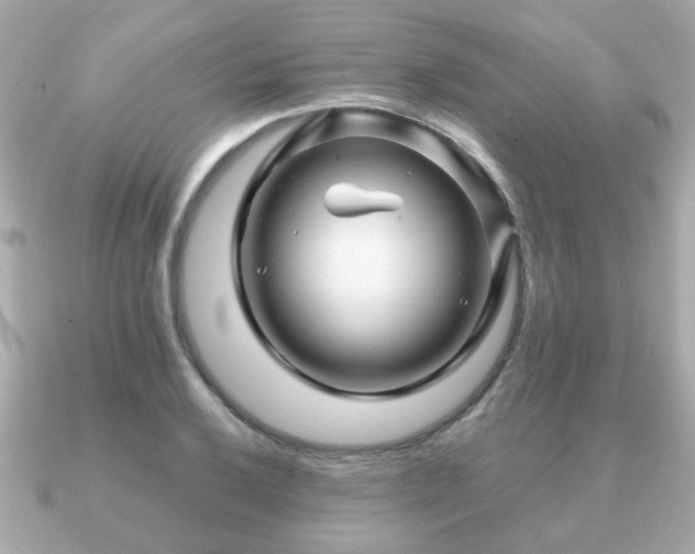 X0000090961032200708091351