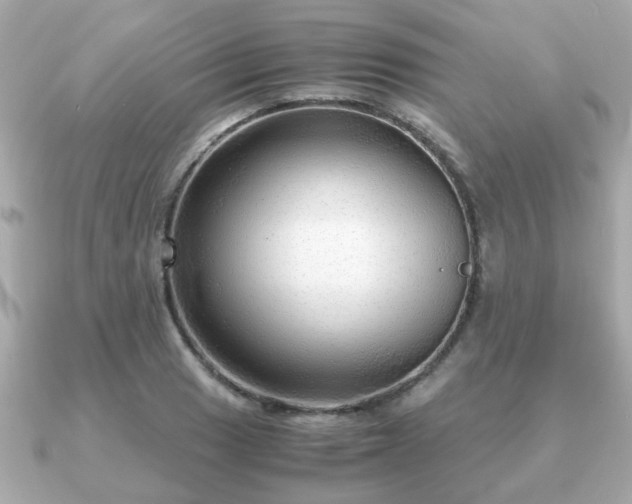 X0000090961033200708091351