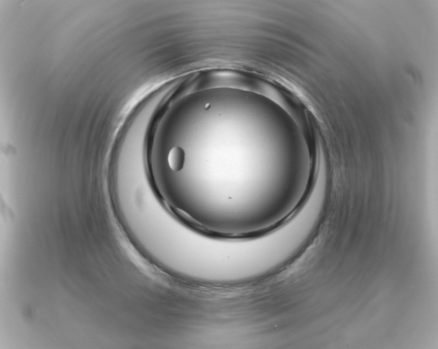 X0000090961034200708091351