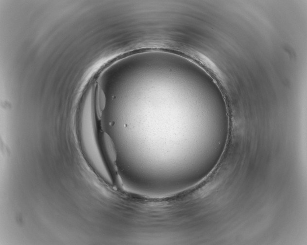 X0000090961035200708091351