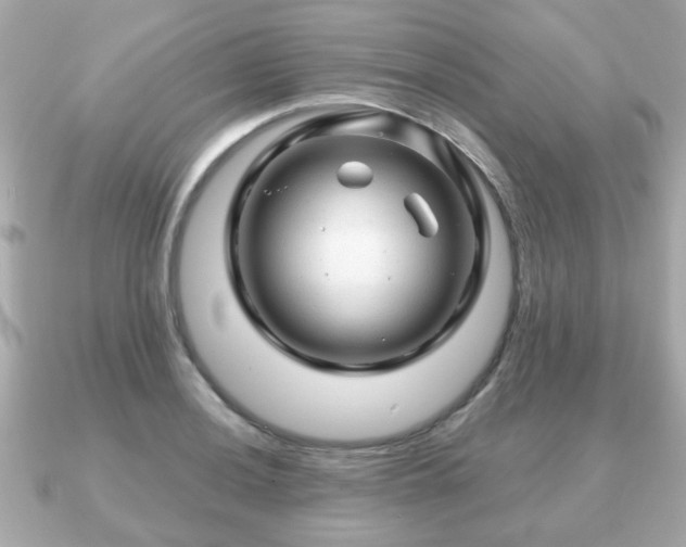 X0000090961036200708091351