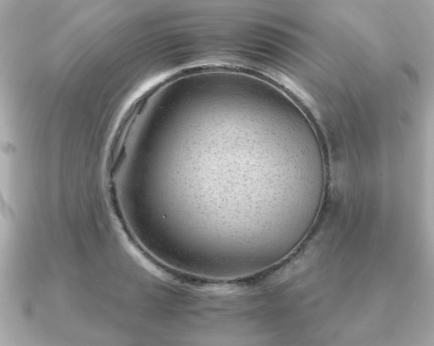 X0000090961037200708091351