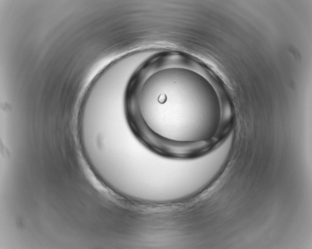 X0000090961038200708091351
