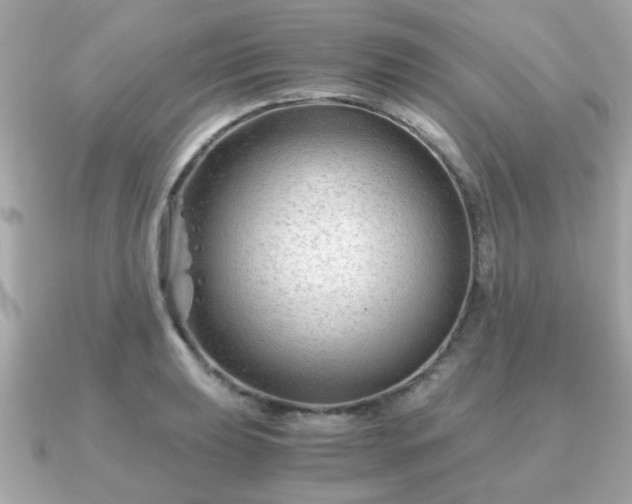 X0000090961039200708091351