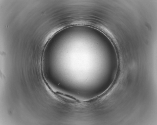 X0000090961041200708091351