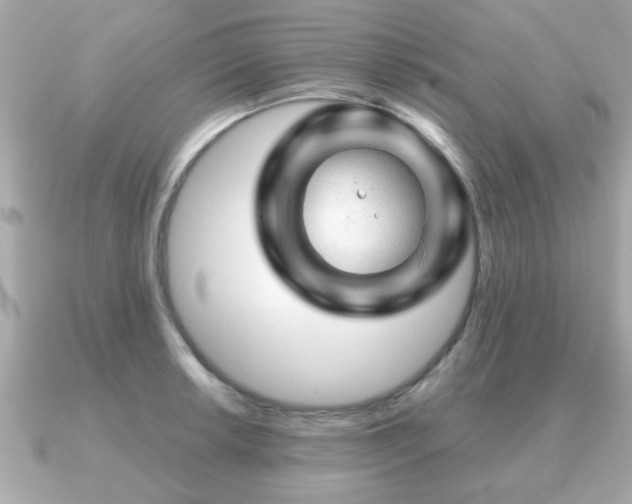 X0000090961042200708091351