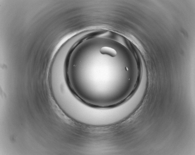 X0000090961044200708091351