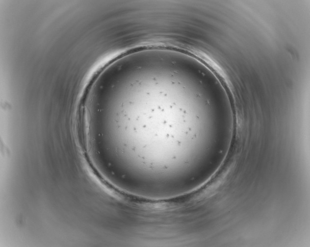 X0000090961045200708091351