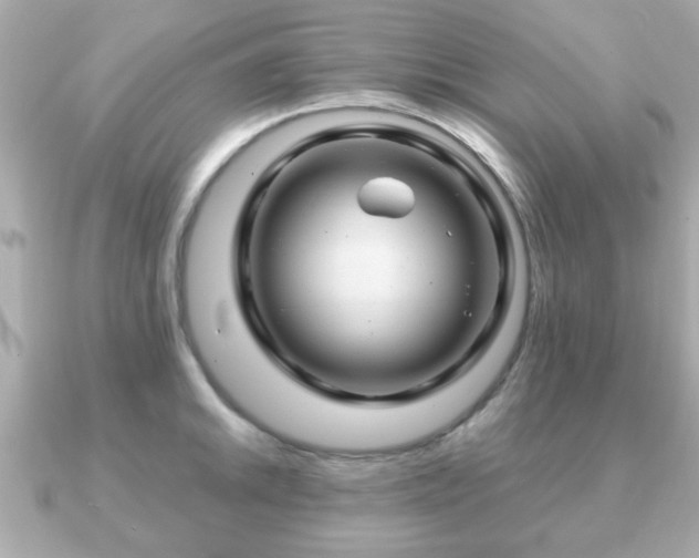 X0000090961046200708091351