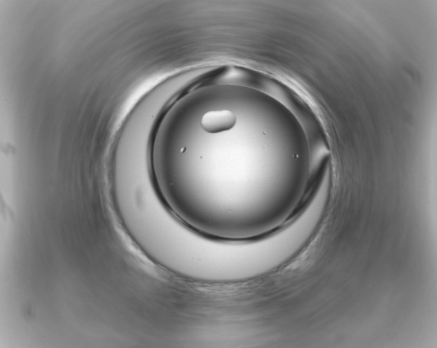 X0000090961048200708091351