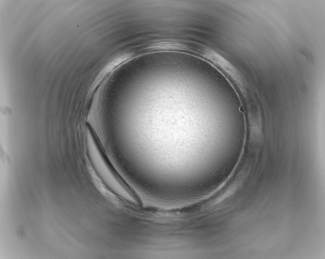 X0000090961049200708091351