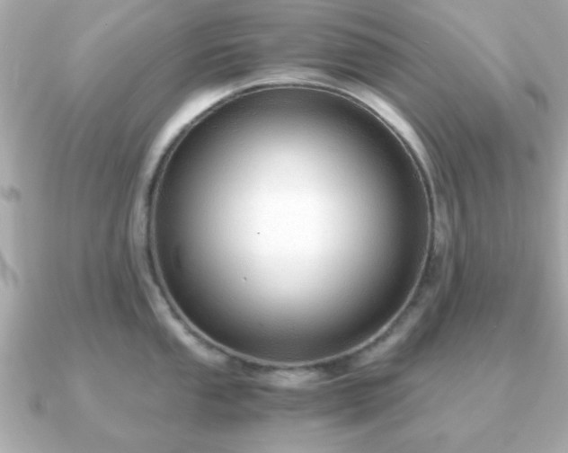 X0000090961053200708091351