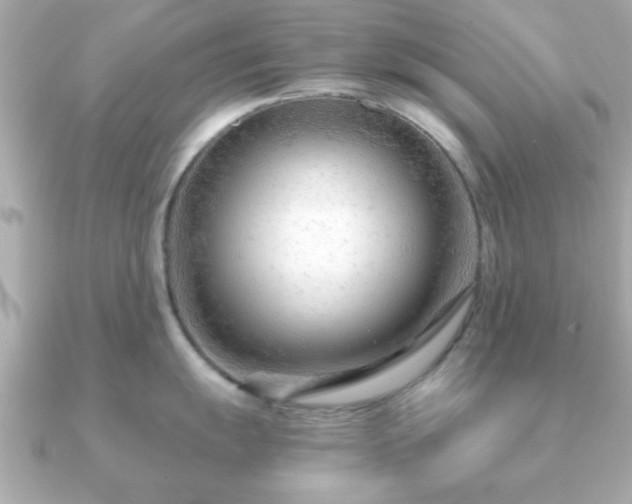 X0000090961055200708091351