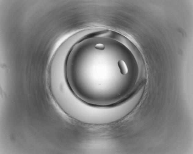 X0000090961056200708091351