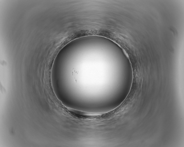 X0000090961057200708091350