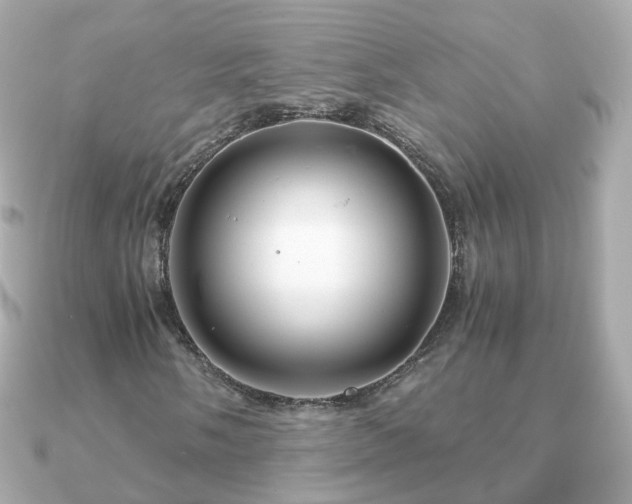 X0000090961058200708091350