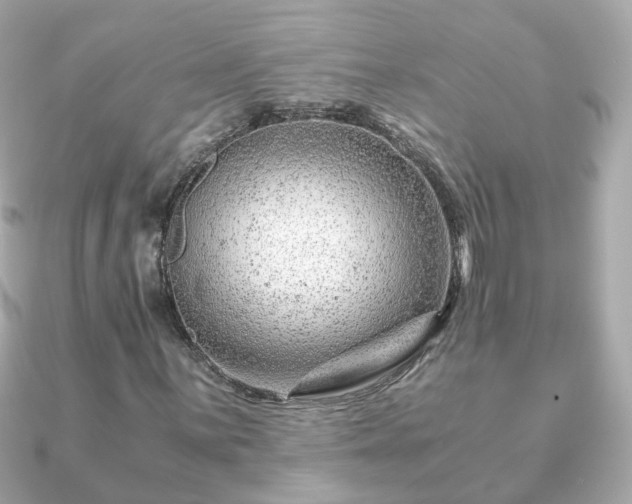 X0000090961059200708091350