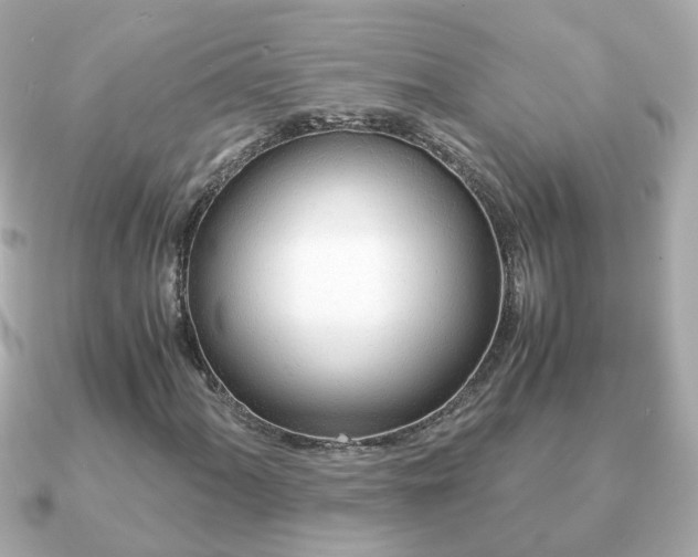 X0000090961060200708091350