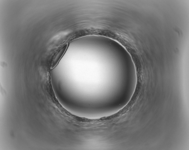 X0000090961061200708091350