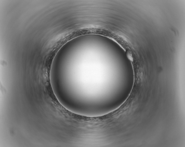 X0000090961062200708091350