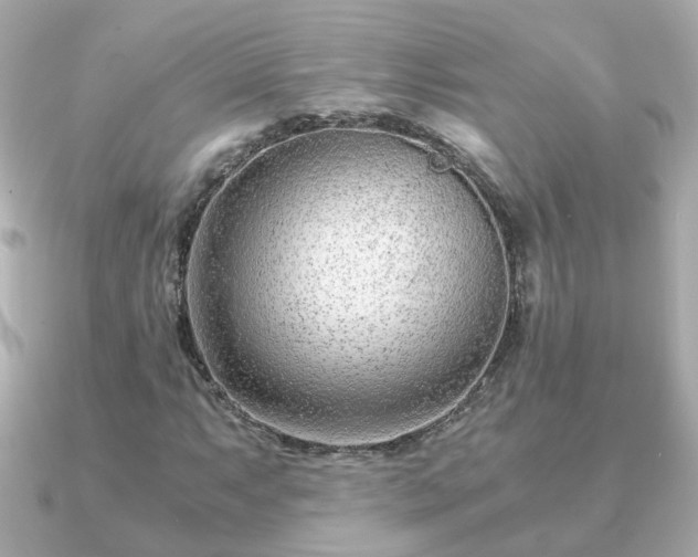 X0000090961063200708091350