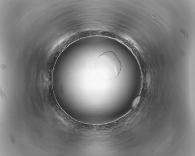 X0000090961064200708091350