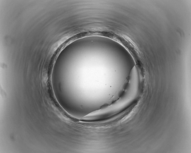X0000090961065200708091350