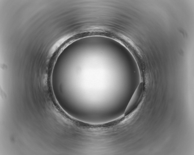 X0000090961066200708091350