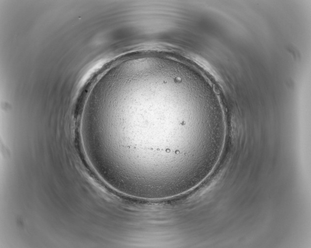X0000090961067200708091350