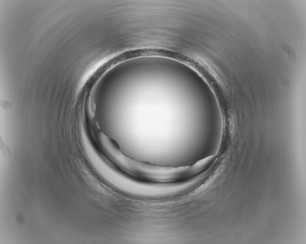 X0000090961069200708091350
