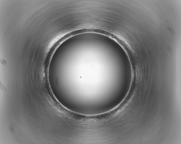 X0000090961070200708091350