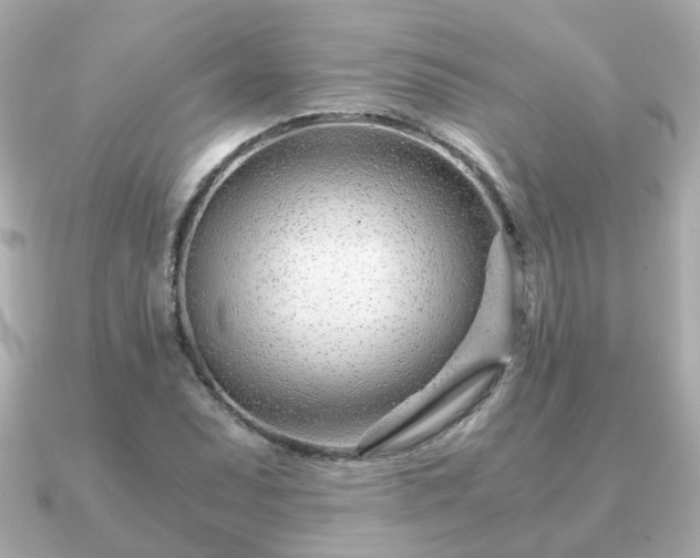 X0000090961071200708091350