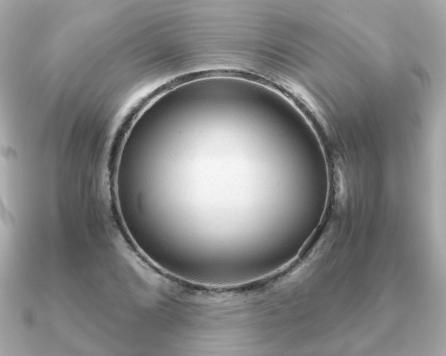 X0000090961072200708091350