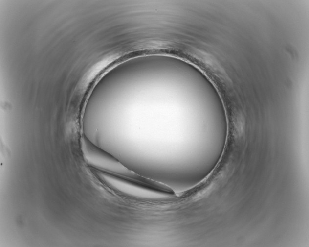 X0000090961073200708091350