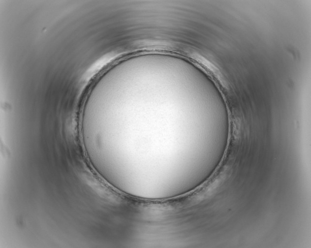 X0000090961074200708091350